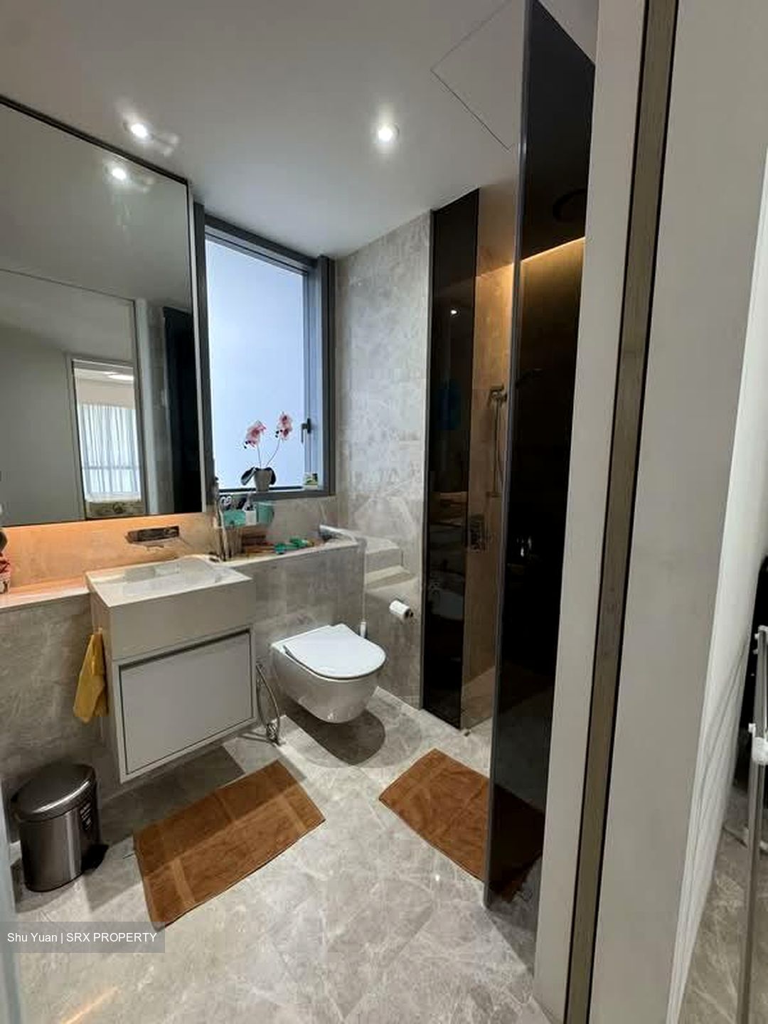 Amber Park (D15), Condominium #538706151